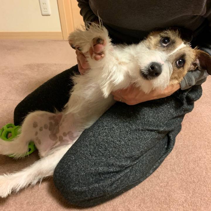 080f7a72 354c 446d 9098 638fdd3e09c8 1582634153255