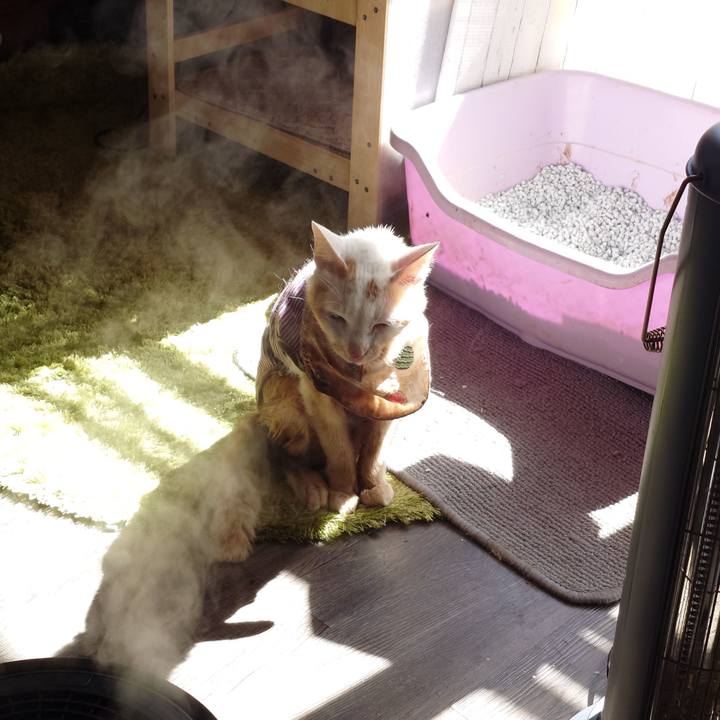 080f86a3 18f1 4cf6 b4f1 d531cf84f926 1772597866286