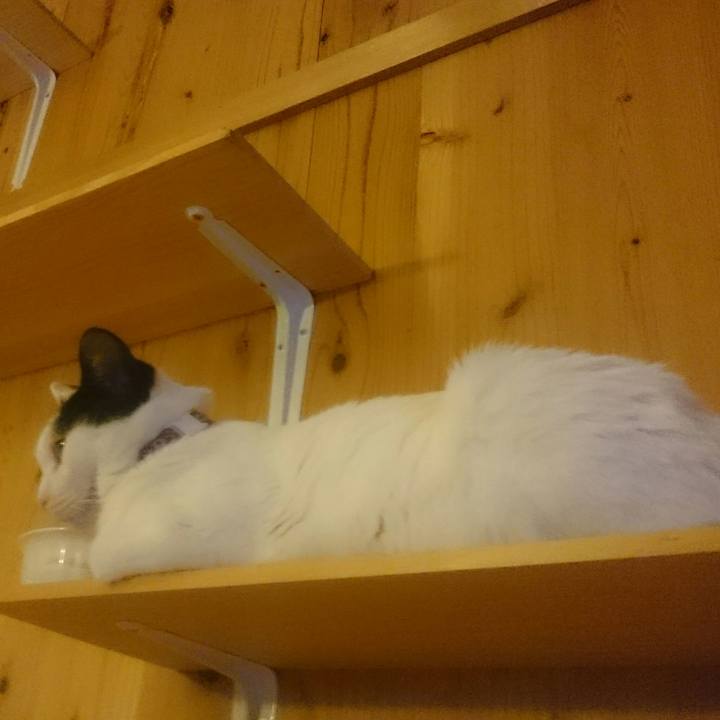 080f8f07 937d 4ff4 af94 f76ab3ff07d9 1518956932262