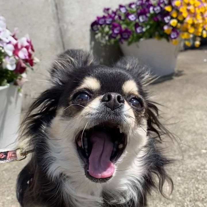 080fbf48 8d6c 4c34 a627 0f371c484d6d 1649403746204