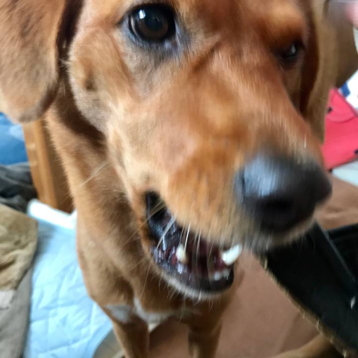 080ff939 24fd 4e93 97a5 1d85a414f357 1538351954338