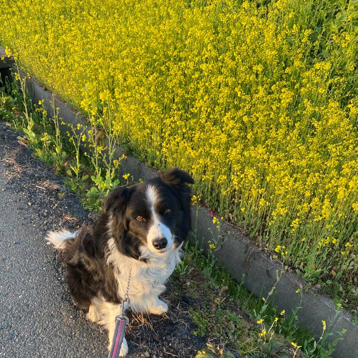 081004e0 13ea 46e0 8f4f 9d0150c3df89 1614035747124