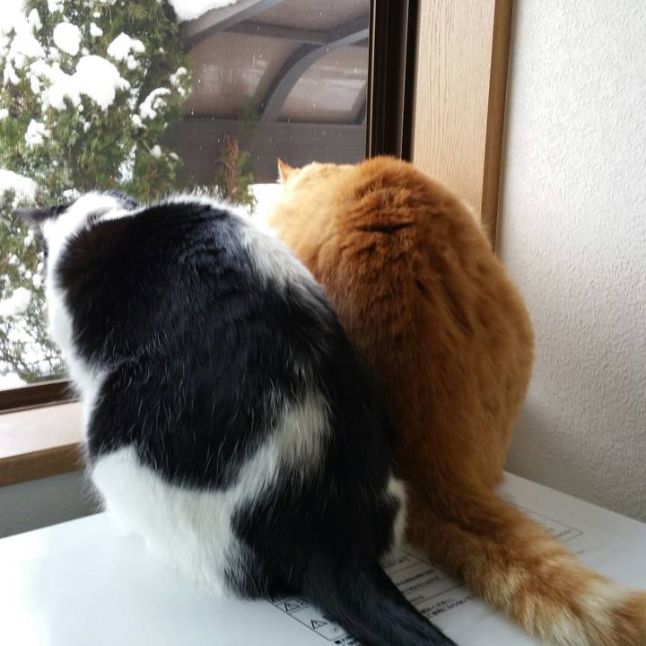 08100d66 0bd5 4c27 b778 3da86f121b76 1514461196521