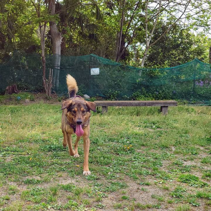 0810336e fbca 46d2 a2ab b6b908205d1f 1745633110388