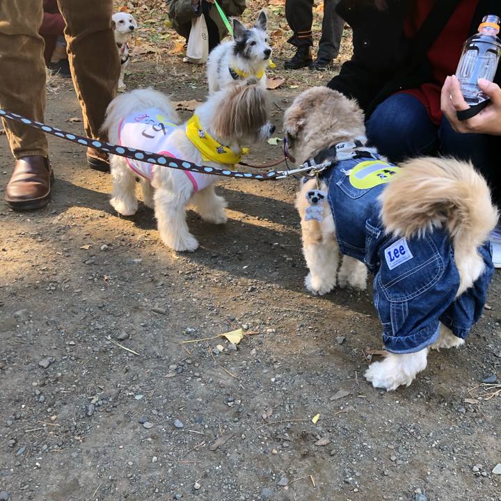 08103f9b 5000 4eb2 8385 b8c8fa3b972d 1606554485457