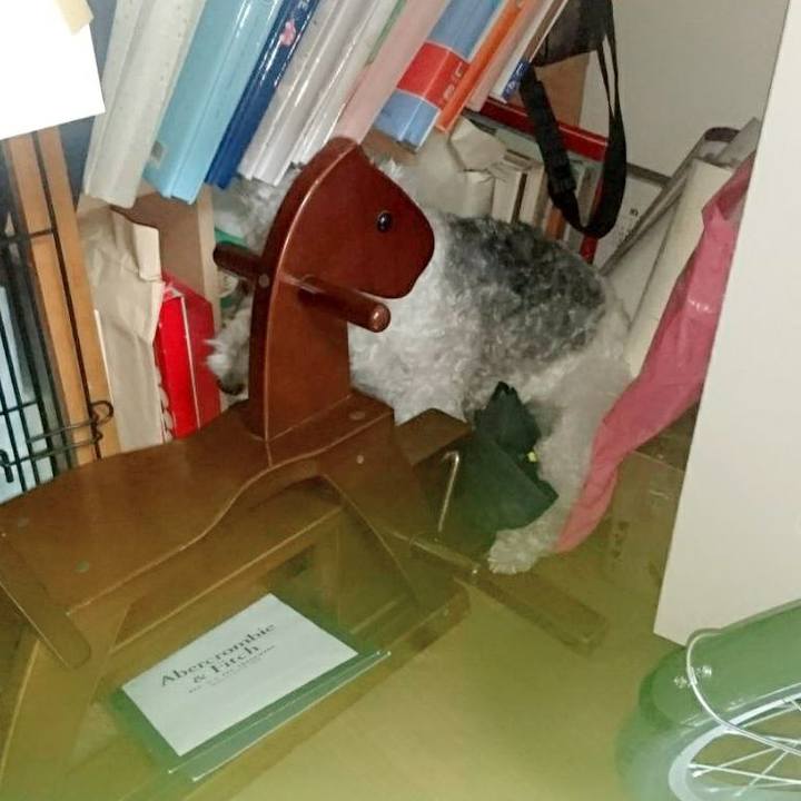 081057a0 659c 4768 a29a af939fe37080 1537192854076