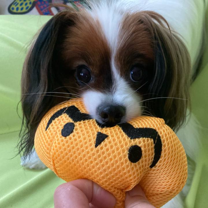 08108182 d114 4c08 90fa e3f7717ff116 1634434385522