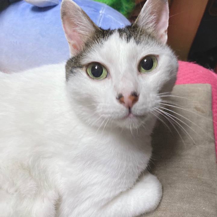 08109851 8370 455d bdf9 09fa385c7c26 1592831431514