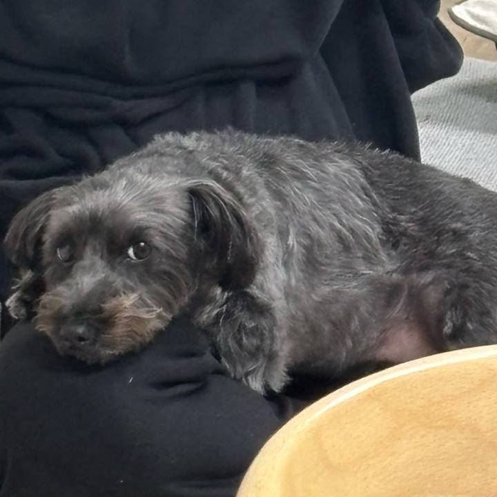 0810a432 6e5e 49e0 93f3 cdb93e301818 1766308475897