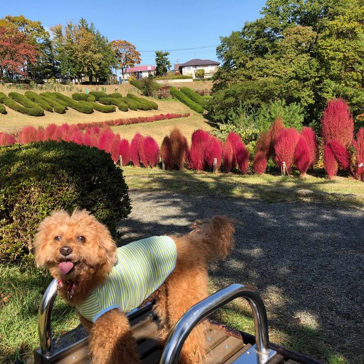 081114c9 c43a 4d30 a7c0 f9078289d077 1540429735452