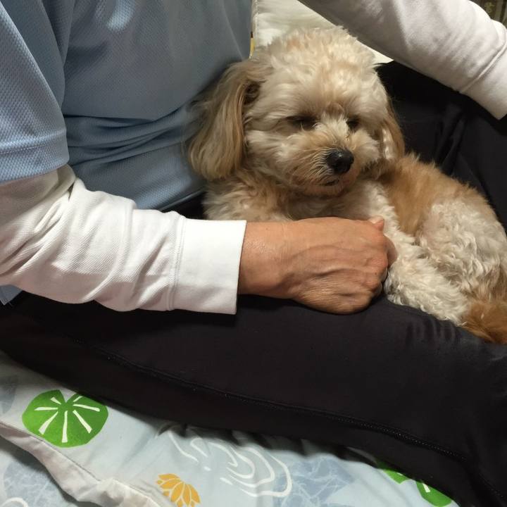 08114531 fb85 4ce0 9738 81bd14c0756d 1539696055430