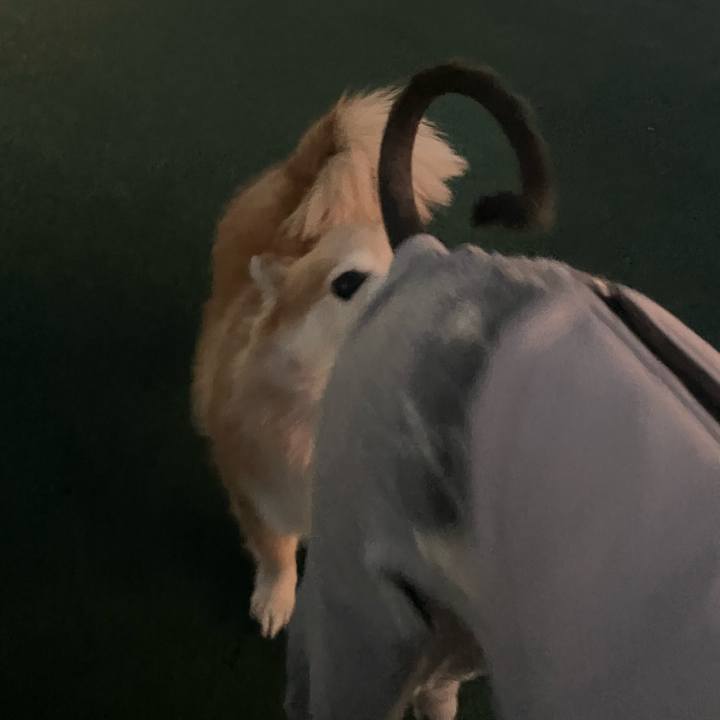 08118a10 c125 4aa6 9fd0 2f830313d021 1763628258885