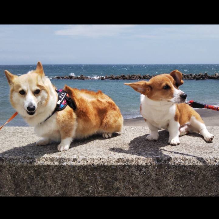 0811bd83 a954 47c8 8650 1379f850a0d9 1594478452336