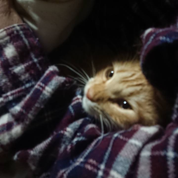 0811c6cd 3eba 48a2 8fb4 040e51f20424 1642279336725