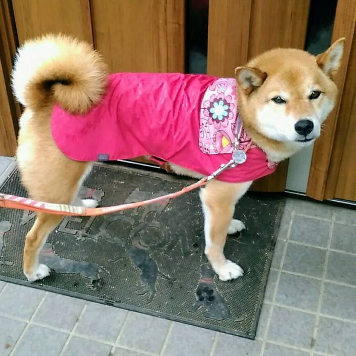 0811c72f f410 4de3 9ab9 677b875b3edc 1561941835284