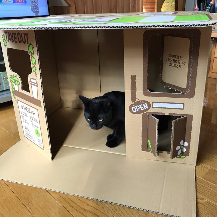 081254d9 670c 49fa 9db1 46fb3d38fad6 1597704069143