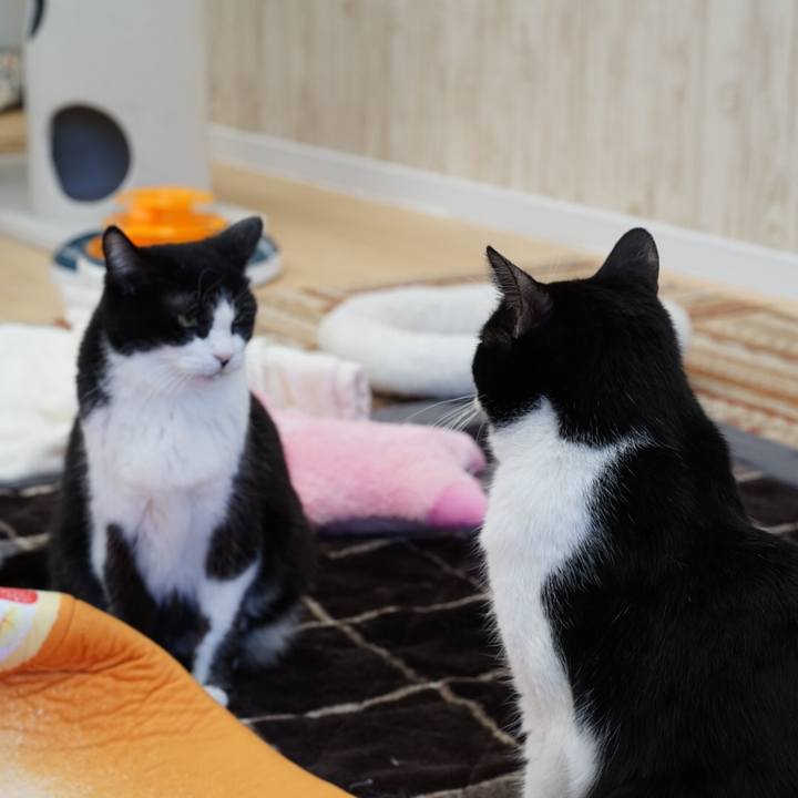 08125a32 5510 41c6 89b9 acdc0f01832e 1552115369678