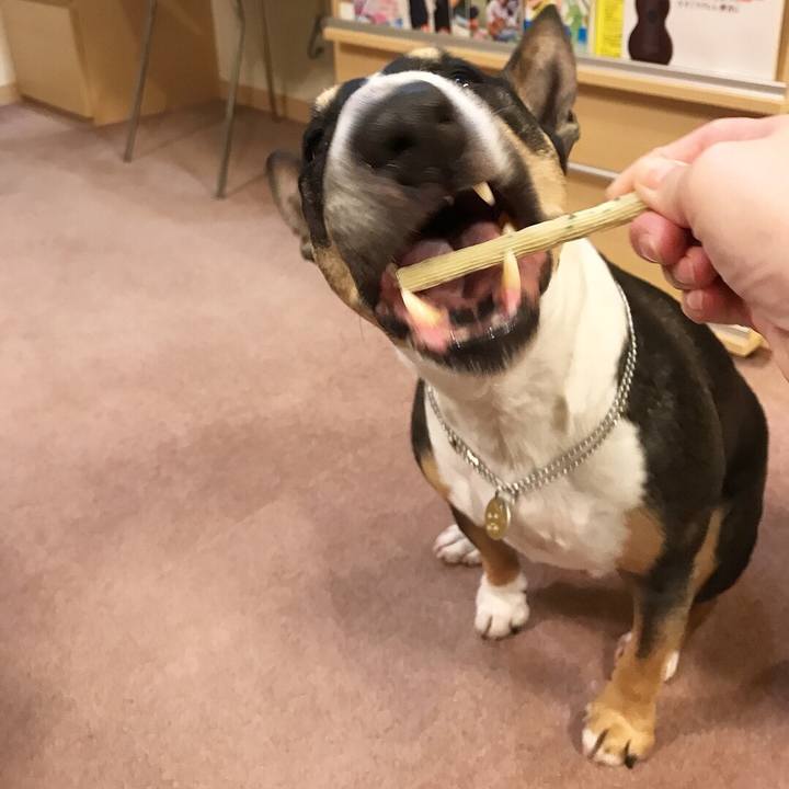 08127460 f380 4a1f b46c 1fab878910a0 1512126610260