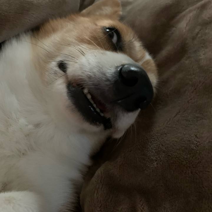 0812b2d6 839b 4b13 83fa 81fcb721f762 1572220284027