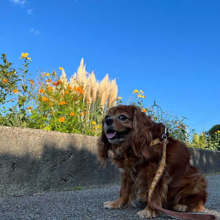 0812baef 5f23 4d3c b429 e853c41f08a7 1696029706750