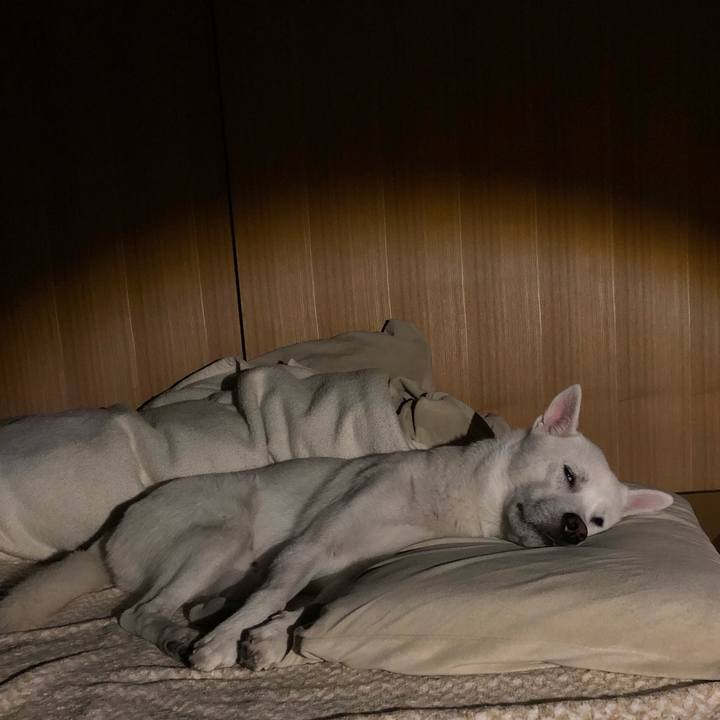 0812c85a 924e 4e94 8129 68c499401454 1577182482668