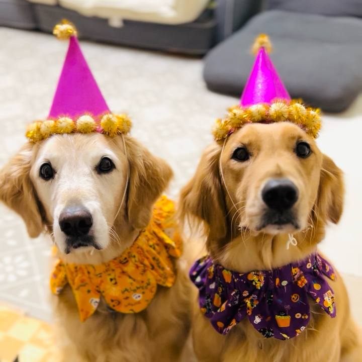 0812ccba ff7d 4968 b909 be976e6e5715 1758869068008