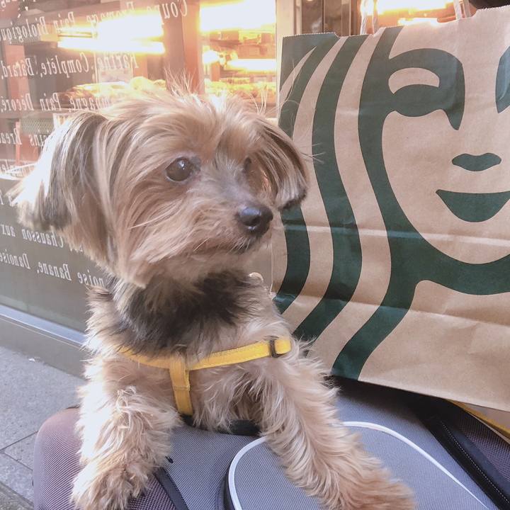 0812d2a8 fbcf 4f85 9bac a8c3f123d194 1609033560236