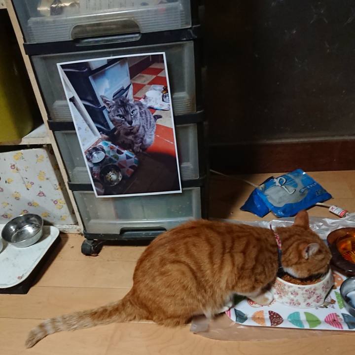 08132db2 0e66 4f99 8f36 9278a6c8ae50 1599943268684