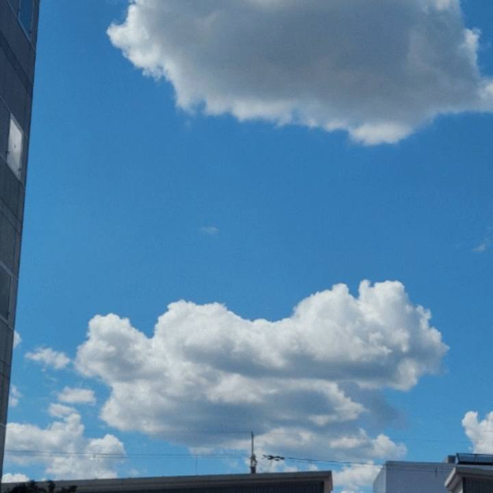 08133714 9b5d 465d a2e2 08577d9ad89b 1726113076907