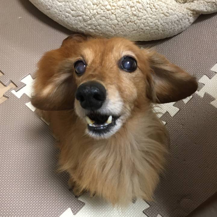 08135165 7fdf 48c0 bfc6 f62b8f5904c6 1591363163178