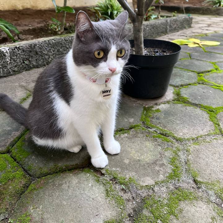 08135a09 dcb9 4dc6 b5ba 14d7174fdf39 1769303877555