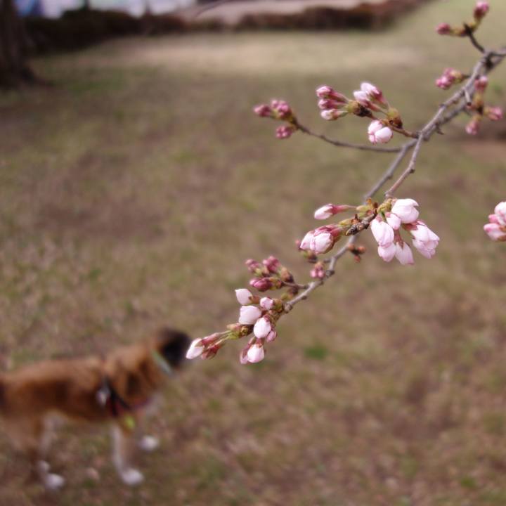 081367e2 3b8d 41a2 a774 3232ed1ef17f 1553483741350