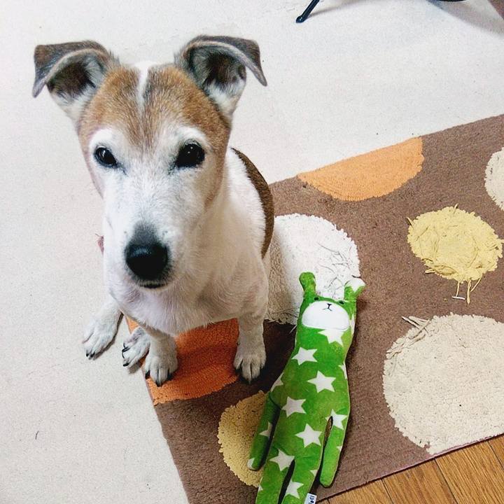 081371fa 944c 4d42 a49a ccb186a3380b 1586989667603