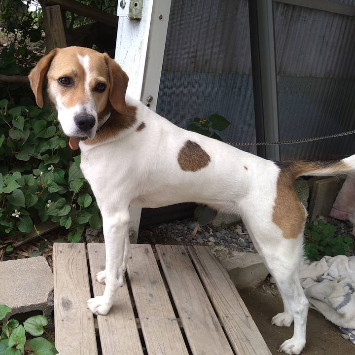 08137480 98f3 4b80 973f 74867f69e6e3 1624020363420