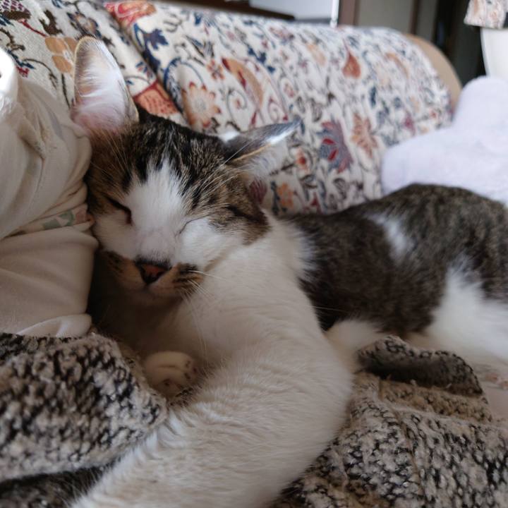 0813a801 973a 4c44 ace5 38c9a58e844e 1744518262626