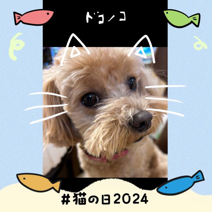 0813e0c7 6630 4050 97db 98dda0f3a004 1708601504990