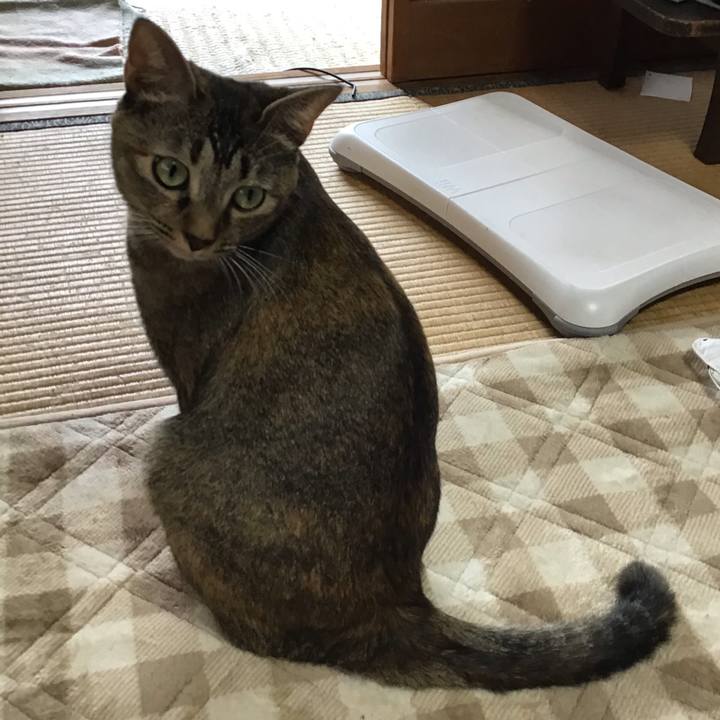 08140a95 925c 458f 8517 a7ebf4e1c492 1604708973734