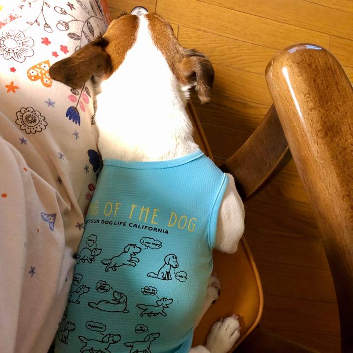 081417ff 25f3 41e2 993e ea739a5f3090 1596977502843