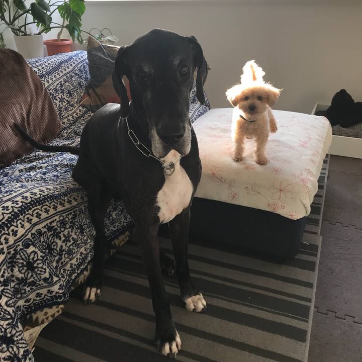 0814190f f0c0 4658 8488 09b0d12d0035 1519079993470