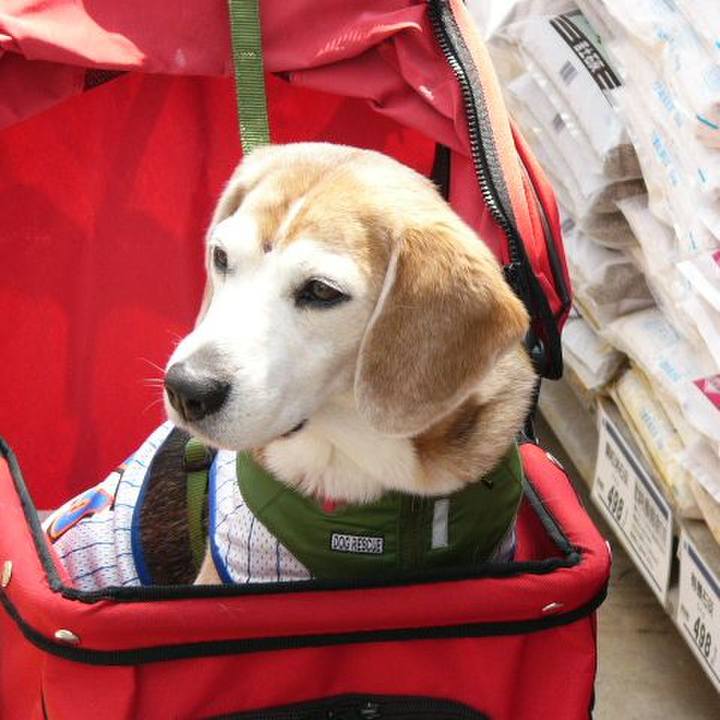 08141fe1 da95 44b2 97ed d5ebb1bc25d5 1664239241795