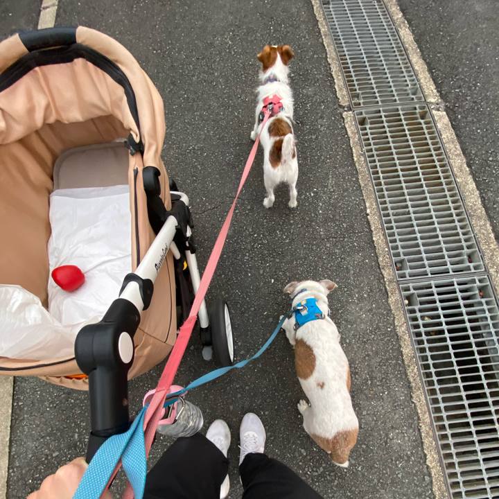 081426f9 21d6 4f1a 9663 2df8ef03d8dc 1728943795280