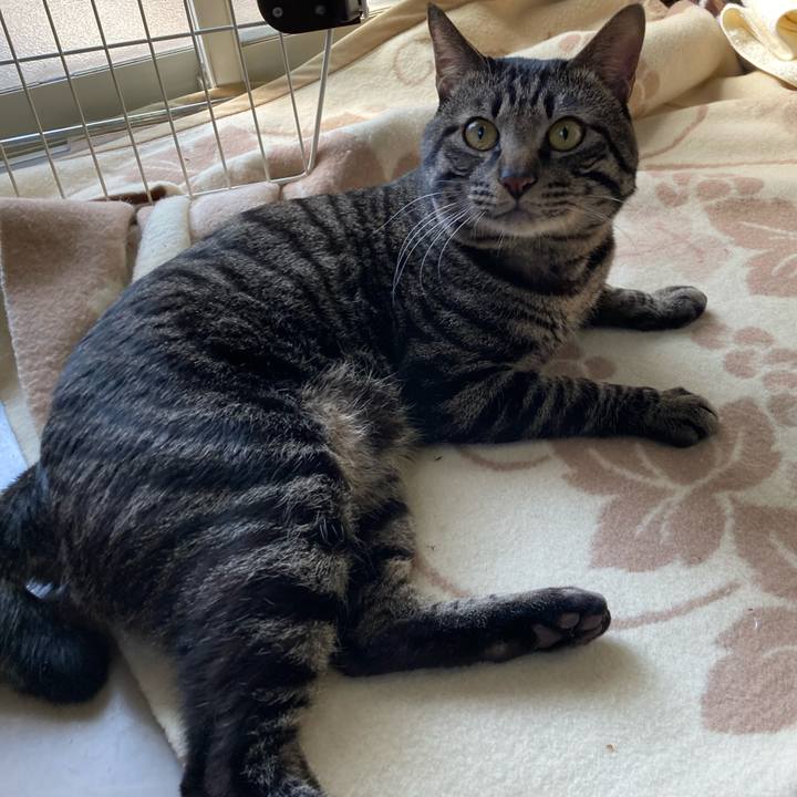 08144a51 fbab 4c83 a30f 90a66cf126b4 1647935254072