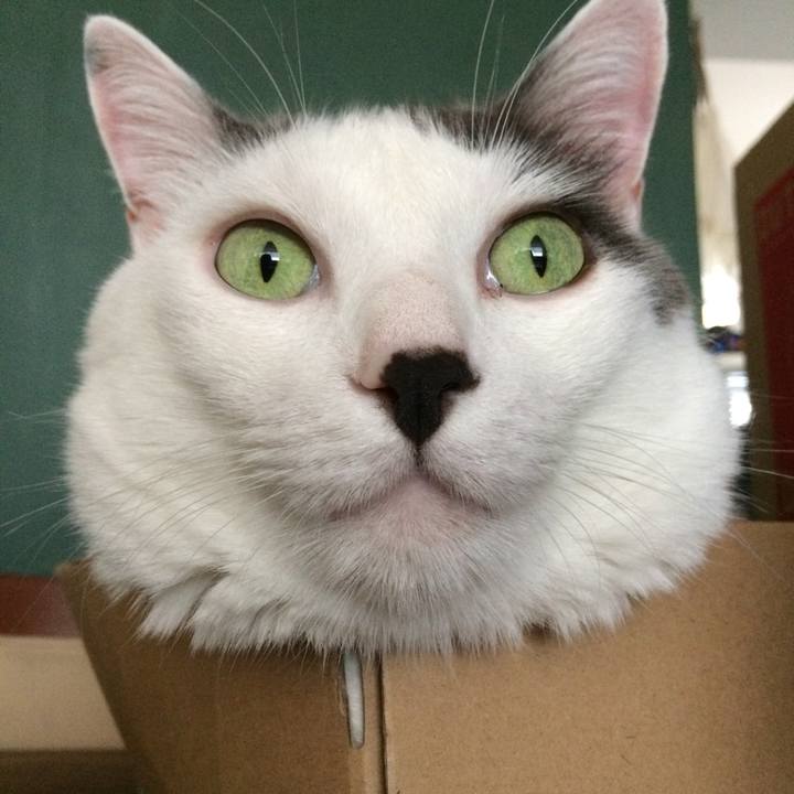 08145544 66db 4670 9c7a cbb1ce97afb8 1514646813065