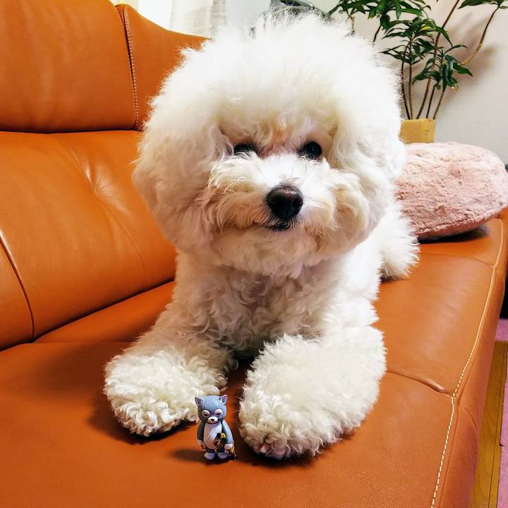 0814699e dc45 4bd6 a4b3 6376baee44ef 1550150412625