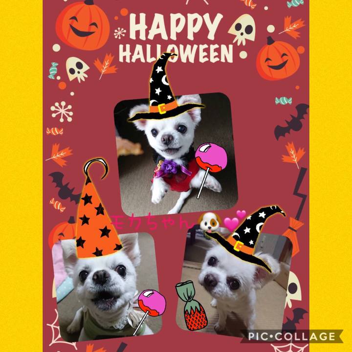 08147855 4019 45e5 b71d 16263297354d 1571982325109