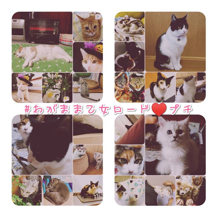 081505eb 8b8e 466d 94bf 19684a79b19c 1571402182811