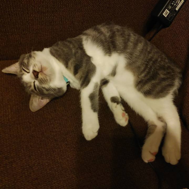 08150894 a122 4e43 ac1a 0c72b3eac710 1566919405237