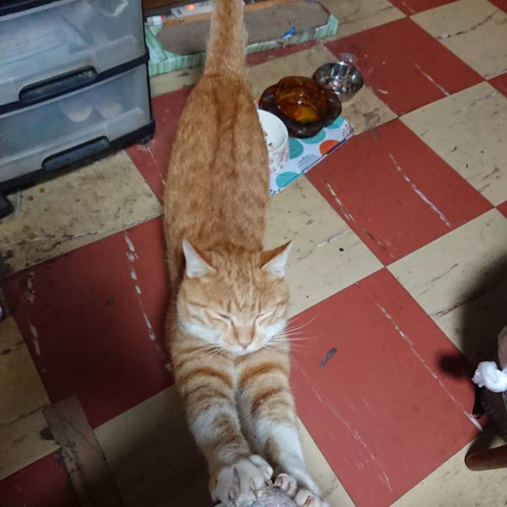 08150cac 64ef 4af0 a142 e805c3893629 1572603698840