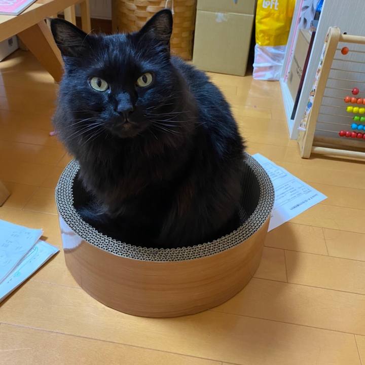 08156427 2abe 41e7 971e 4c8eac39dd5a 1582126574380