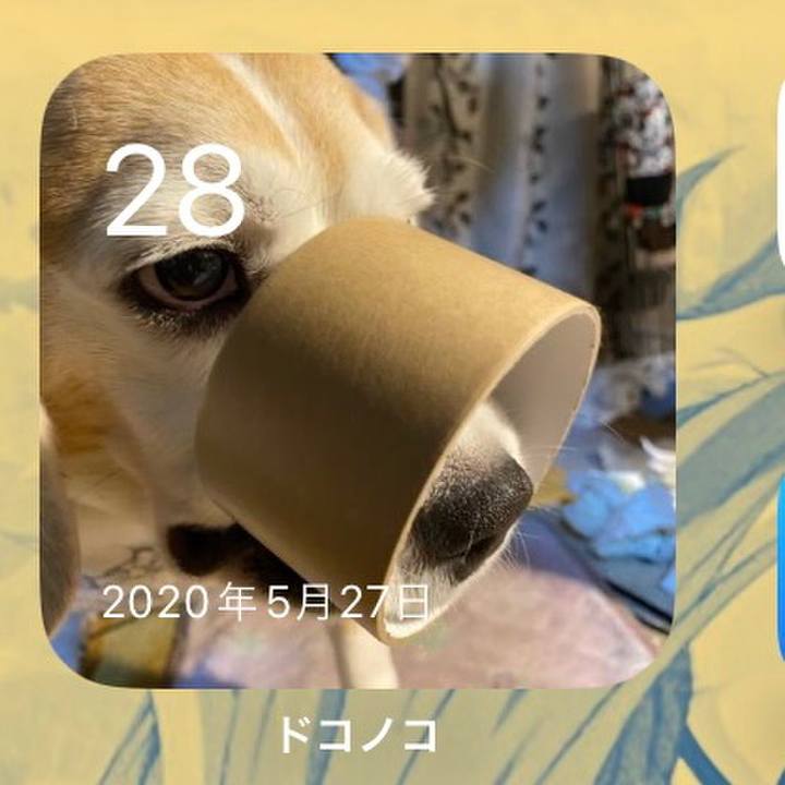 08158354 e2ef 4c20 9df5 32e873365798 1685222183766